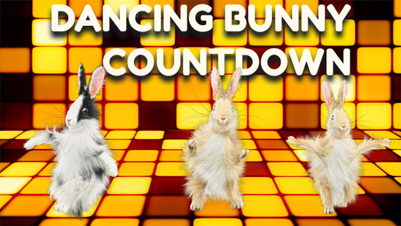 Dancing Bunny Countdown